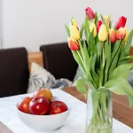 Appartement Kohlweg - Free Parking Und Garten Graz