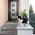 Appartement Kohlweg - Free Parking Und Garten *