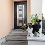 Kohlweg - Free Parking Und Garten *