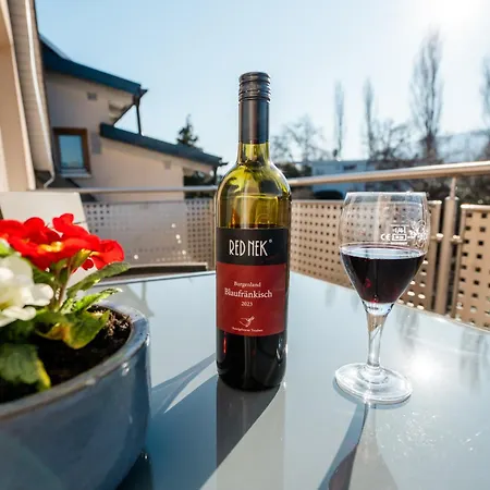 Kohlweg - Free Parking, Garden And Air Conditioning * Graz