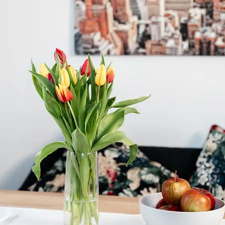 Appartement Kohlweg - Free Parking, Garden And Air Conditioning