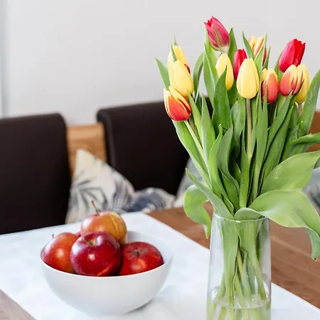 Appartement Kohlweg - Free Parking, Garden And Air Conditioning Graz
