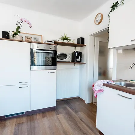 Kohlweg - Free Parking, Garden And Air Conditioning * Graz