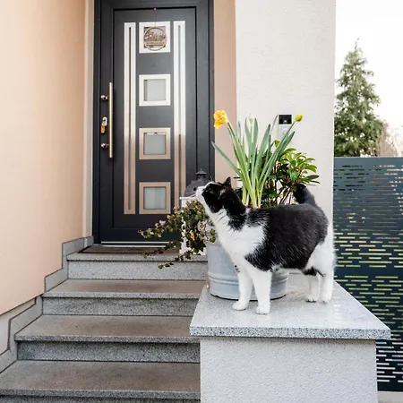 Appartement Kohlweg - Free Parking, Garden And Air Conditioning *