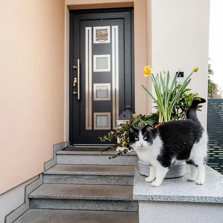 Kohlweg - Free Parking, Garden And Air Conditioning *