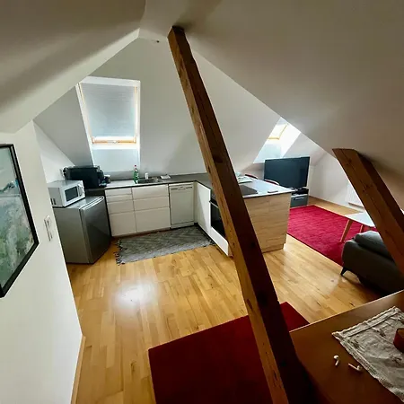 Kohlweg - Free Parking, Garden And Air Conditioning * Graz
